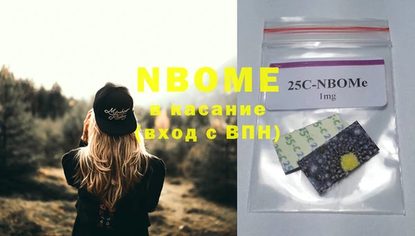 амф Новодвинск
