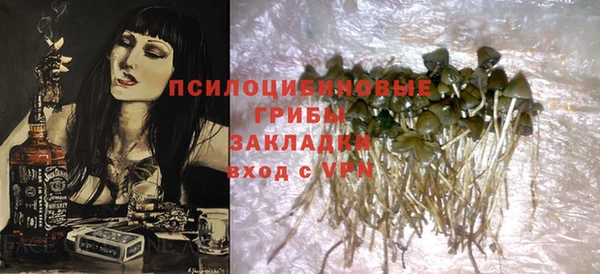 амф Новодвинск