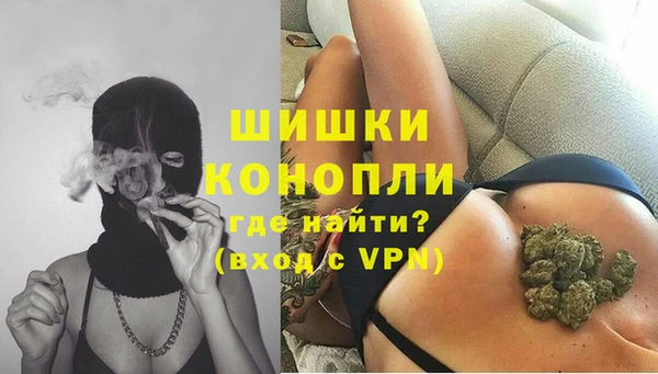 амф Новодвинск