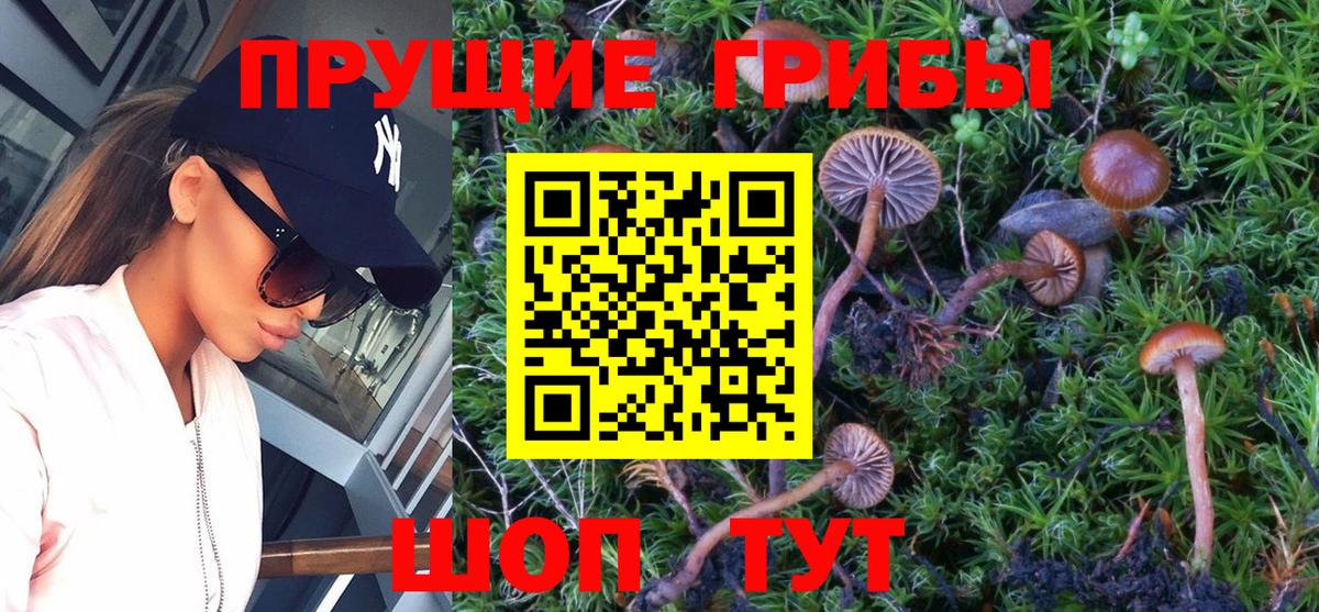 Псилоцибиновые грибы Psilocybe Учалы
