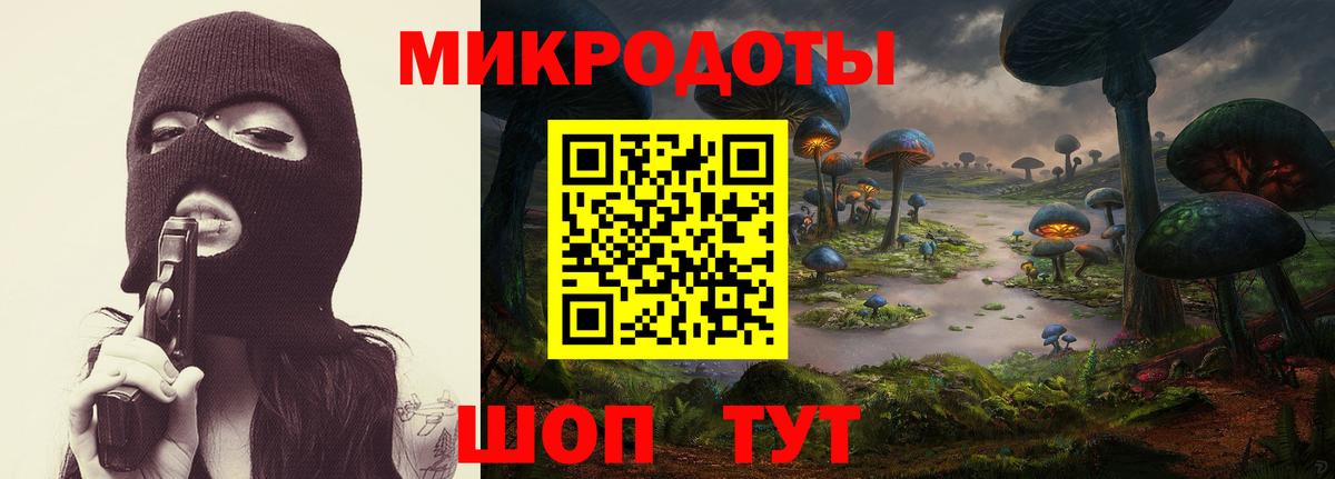 Псилоцибиновые грибы Psilocybe Учалы